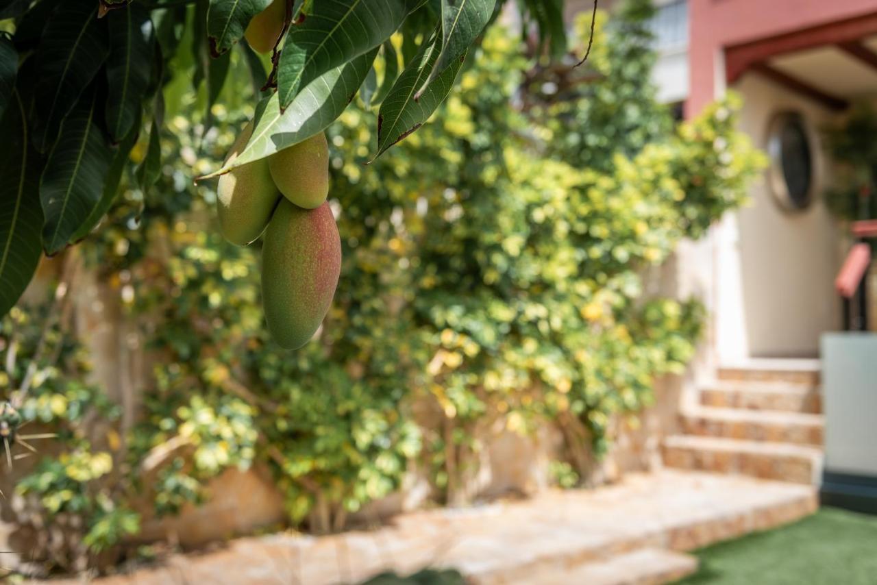Comfortable 4-Bedroom Villa With Private Gardens Costa Adeje  Buitenkant foto